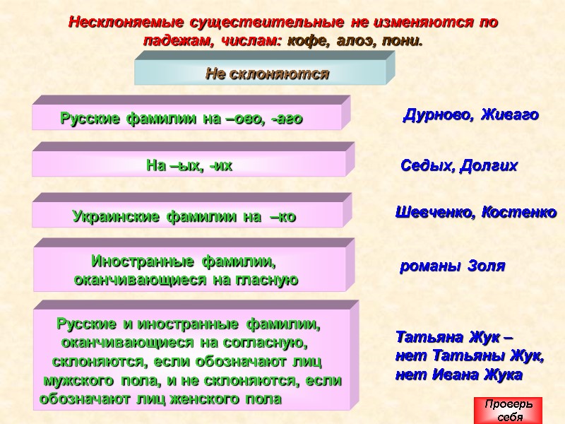 Несклоняемые существительные не изменяются по падежам, числам: кофе, алоэ, пони.    